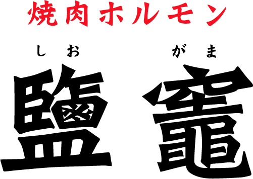 ☆任天堂(ニンテンドー)ゲームキューブ ディスク11個 セット